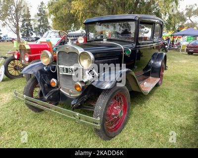 Vieux Ford noir modèle A Fordor berline 1928 - 1931. Nature vert herbe et arbres fond. Salon de la voiture classique. CopySpace Banque D'Images