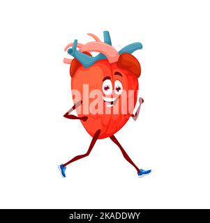 Dessin animé courir coeur caractère jogging pour garder la santé. Organe d'athlète vecteur isolé faisant de l'entraînement cardio, exercices sportifs. Cardiologie personnel médical vie active, prévention des crises cardiaques Illustration de Vecteur