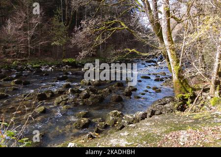 Gorges de l'Areuse, Noirague, Neuchâtel, Suisse, Europe. Magnifique paysage romantique d'automne au bord du ruisseau. Rivière aux rochers mousseux, automne n Banque D'Images