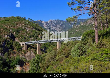 Le viaduc de chemin de fer du fleuve Vecchio près de la forêt de Cervello (Foret de Cervello) à Vivario (haute-Corse) sur l'île de Corse, France Banque D'Images