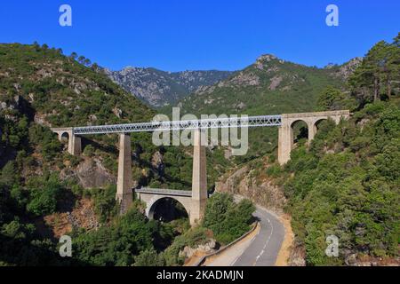 Le viaduc de chemin de fer du fleuve Vecchio près de la forêt de Cervello (Foret de Cervello) à Vivario (haute-Corse) sur l'île de Corse, France Banque D'Images