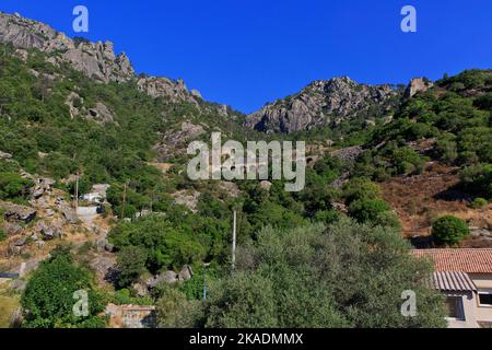 Un pont ferroviaire près de la Forêt de Cervello (Foret de Cervello) à Vivario (haute-Corse) sur l'île de Corse, France Banque D'Images