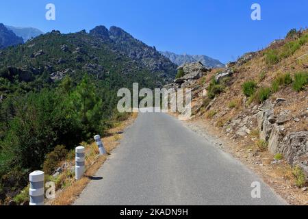 Route sinueuse à travers les gorges de la Restonica (Gorges de la Restonica) près de Corte (haute-Corse) sur l'île de Corse, France Banque D'Images