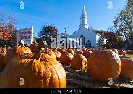 The Pumkin Patch - collecte de fonds sur la vente de citrouilles à l'église congrégationale de West Yarmouth. Yarmouth, Massachusetts, États-Unis sur Cape Cod Banque D'Images