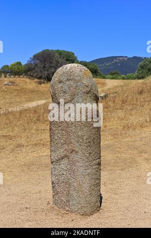 Gros plan d'un menhir au visage humain sculpté sur le site mégalithique de Filitosa (Corse-du-Sud) sur les îles de Corse, France Banque D'Images