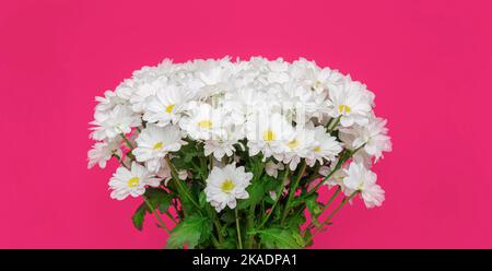 Bouquet de pâquerettes blanches. Banque D'Images