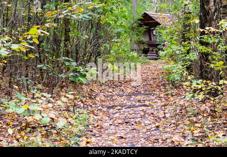 Petite maison de pique-nique en bois dans la forêt d'automne sur fond de feuilles jaunes en forêt Banque D'Images