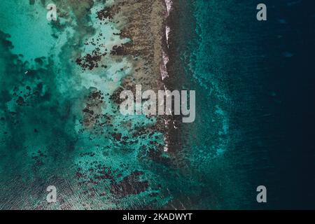 Photos aériennes de la barrière de corail du Belize au large de la côte nord d'Ambergris Caye. Banque D'Images