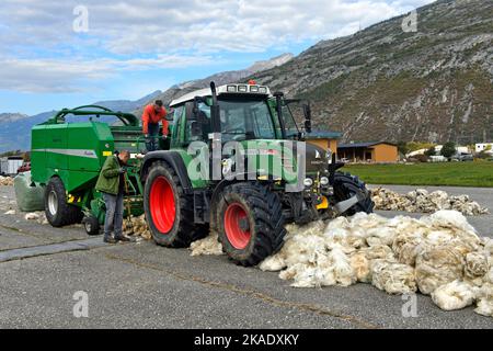 Tracteur avec presse à balles rondes collectant la laine de mouton, point de collecte de Swisswool pour la laine vierge de mouton noir du Valais, Turtmann, Valais, Suisse Banque D'Images