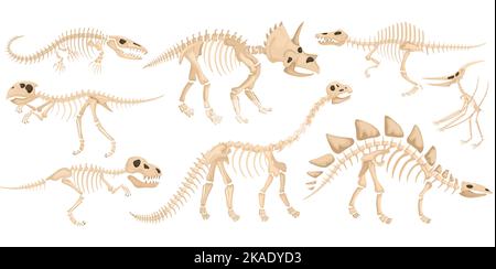 Icône de squelette de dinosaure avec de grands animaux anciens de différentes espèces volant prédateur et illustration de vecteur herbivore Illustration de Vecteur