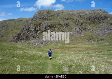 Homme marchant sur le chemin de 'Border End' au sommet du col HardKnott depuis le Wainwright 'Harter Fell' à Eskdale, parc national du district de Lake. ROYAUME-UNI. Banque D'Images