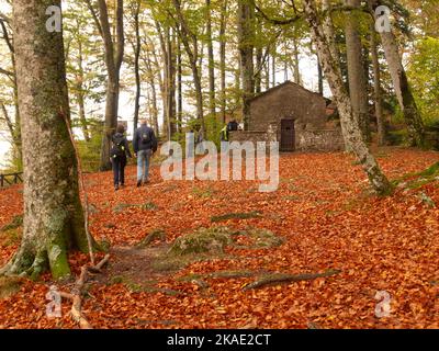 Italie, Toscane, Arezzo, quartier de Casentino, le Sanctuaire de la Verna. Banque D'Images