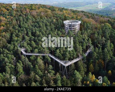 VUE AÉRIENNE. Attraction touristique où les gens marchent sur un sentier au niveau de l'arbre et se terminent à une terrasse d'observation. Chemin des Cimes, Alsace, France. Banque D'Images