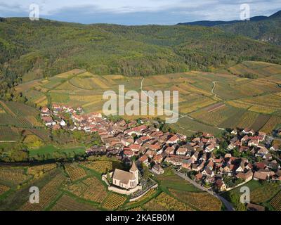 VUE AÉRIENNE. Village pittoresque au pied des Vosges avec ses vignobles aux couleurs automnales. Hunawihr, Alsace, Grand est, France. Banque D'Images