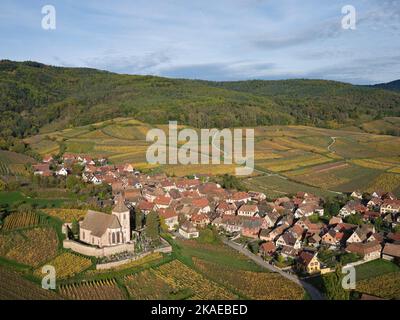 VUE AÉRIENNE. Village pittoresque au pied des Vosges avec ses vignobles aux couleurs automnales. Hunawihr, Alsace, Grand est, France. Banque D'Images