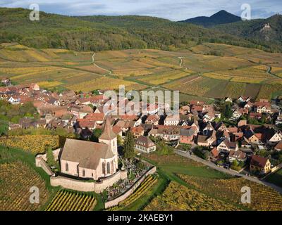 VUE AÉRIENNE. Village pittoresque au pied des Vosges avec ses vignobles aux couleurs automnales. Hunawihr, Alsace, Grand est, France. Banque D'Images