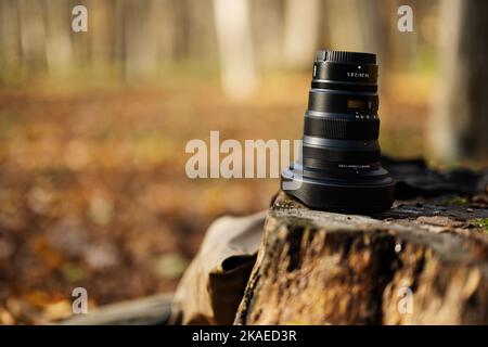 Petrykiv, Ukraine - 1 novembre 2022: NIKKOR Z 14-24mm f/2,8 S lentille dans la souche de la forêt d'automne. Banque D'Images