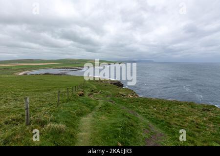 Vue sur la côte depuis la réserve naturelle de Marwick Head, RSPB Scotland, Orkney, Écosse, Royaume-Uni Banque D'Images