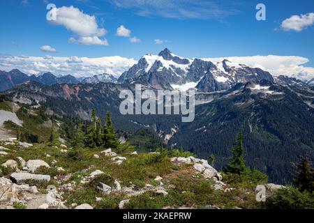 WA22686-00...WASHINGTON - Mont Shuksan vu de Ptarmigan Ridge dans la région sauvage de Mount Baker. Banque D'Images