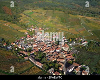 VUE AÉRIENNE. Village pittoresque au pied des Vosges avec ses vignobles aux couleurs automnales. Rodern, Alsace, Grand est, France. Banque D'Images