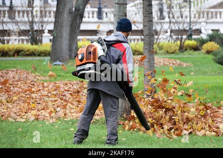 Un travailleur de l'homme nettoie la rue de la ville avec un souffleur à feuilles. Chute de feuilles enlèvement dans le parc d'automne Banque D'Images