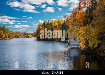 Des feuilles et des arbres d'automne entourent la tourbière sur le lac Chateaugay, dans l'État de New York, à Ellenburg Banque D'Images