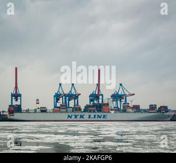 Hambourg, Allemagne - 23 février 2014 : navire à conteneurs de la ligne NYK dans le port de Hambourg au terminal à conteneurs Altenwerder. Banque D'Images