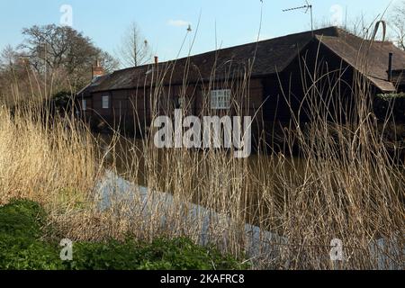 roseaux morts par la rivière navigation pyrford surrey angleterre Banque D'Images