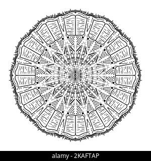 Mandala modèle avec des mots et des éléments de retour à l'école. Décoration ronde. Motifs décoratifs. Dessinez les dessins. Illustration vectorielle. Illustration de Vecteur