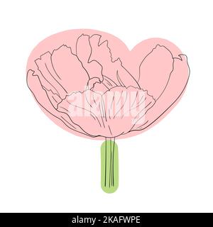 Fleur de tulipe. Illustration esquissée, vecteur Illustration de Vecteur