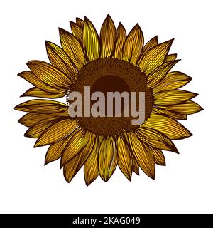 Logo d'objet isolé de tournesol. Icône fleur de soleil. Logo huile de tournesol. Illustration vectorielle Illustration de Vecteur