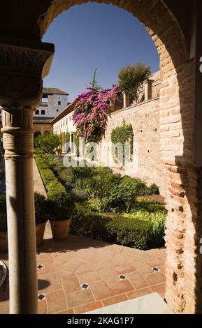 Plantes mixtes à la frontière et fleurs de Bougainville - Bougainvillea dans la cour du jardin du Generalife sur le terrain du palais de l'Alhambra, Grenade, Espagne. Banque D'Images