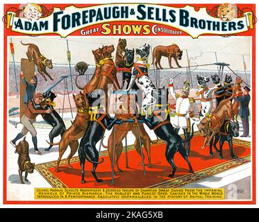 Antique Circus Poster - Adam Forepaugh et vend Brothers grands spectacles consolidés - Great Danes performance Banque D'Images