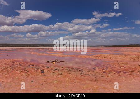 Le lac Hutt Lagoon Pink à Port Gregory, dans la région de Kalbarri, en Australie occidentale, présente une couleur rose différente lorsqu'il s'assécher. Banque D'Images