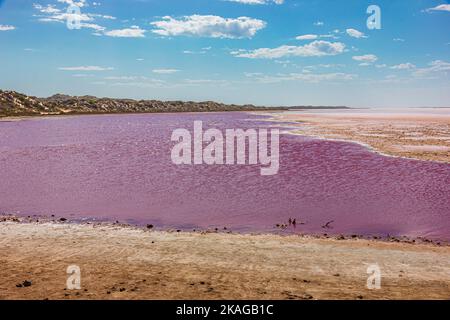 Différentes nuances de couleur rose sur l'eau salée du lac Hutt Lagoon Pink à Port Gregory, dans la région de Kalbarri, en Australie occidentale. Banque D'Images