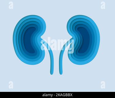 Symbole reins 3D en style de coupe de papier. Urinaire, conception de la transplantation humaine. Organe interne découpé de la bannière en papier. Illustration de Vecteur