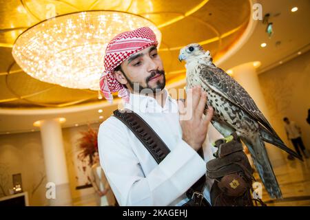 Doha, Qatar, 01 mai, 2022 : faucon arabe avec capot en cuir sur le gant de la Falconer. Banque D'Images