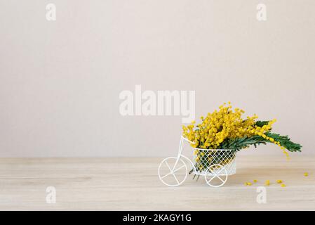 Bouquet de fleurs de mimosa jaunes dans un vase décoratif pour bicyclettes. Le concept de la Journée de la femme ou de la Fête des mères Banque D'Images