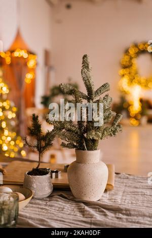 Décoration élégante pour Noël. Branches de sapin dans un vase en céramique sur le fond de lumières dans la maison Banque D'Images