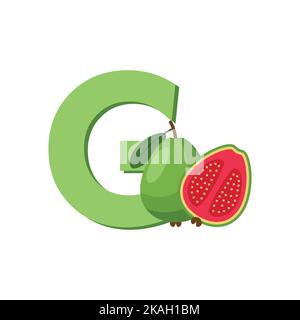Lettre G Alphabet fruits Guava, clip Art Vector, Illustration isolée sur fond blanc Illustration de Vecteur