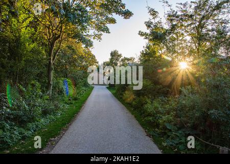 Un chemin parmi les arbres et les maisons un après-midi ensoleillé. Banque D'Images