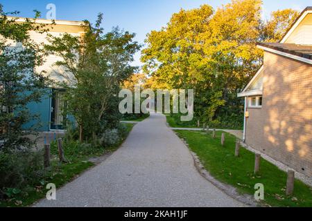 Un chemin parmi les arbres et les maisons un après-midi ensoleillé. Banque D'Images