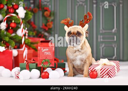 Chien renne de Noël. Bulldog français avec bandeau de costume et bois assis à côté de la décoration de Noël devant le mur vert Banque D'Images