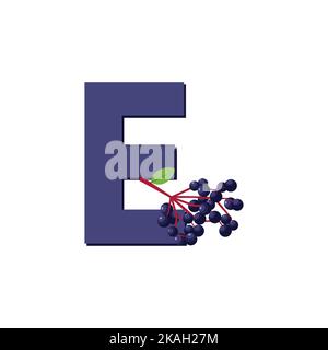Sureau, fruit Alphabet, clip Art Vector, Illustration pour enfants, lettre E Illustration de Vecteur