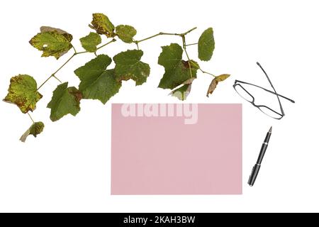 une feuille de papier de couleur avec un stylo et une paire de lunettes sur un fond transparent Banque D'Images