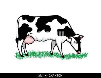 Jolie vache sur herbe blanche. Illustration de Vecteur