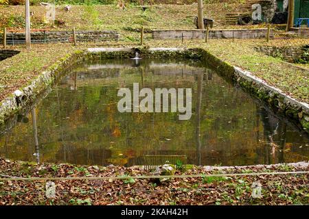 Écloserie de truites, vallée de Szalajka, parc national de Bukk, montagnes de Bukk, en automne, nord de la Hongrie Banque D'Images