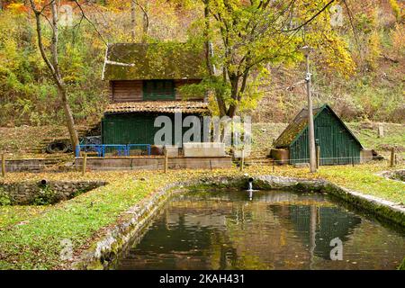 Écloserie de truites, vallée de Szalajka, parc national de Bukk, montagnes de Bukk, en automne, nord de la Hongrie Banque D'Images