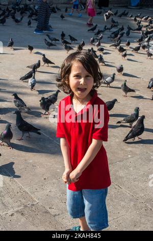 Petit garçon à côté de pigeons sur chaussée de pierre Banque D'Images