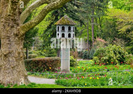 Loft Pigeon au printemps dans le parc de la ville de Fribourg im Breisgau, Bade-Wurtemberg, Allemagne. Banque D'Images